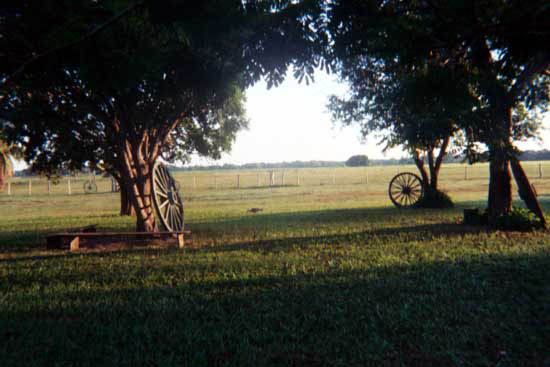 5a